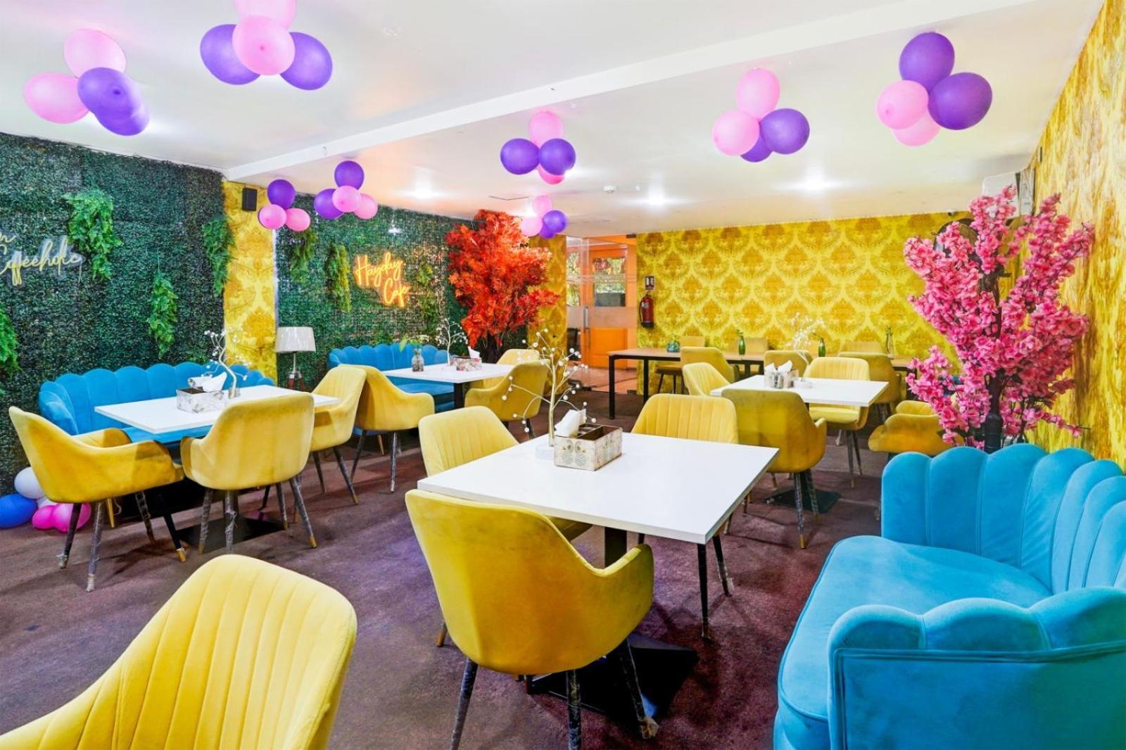 Tela Plaza Near Igi Airport Delhi Hotel