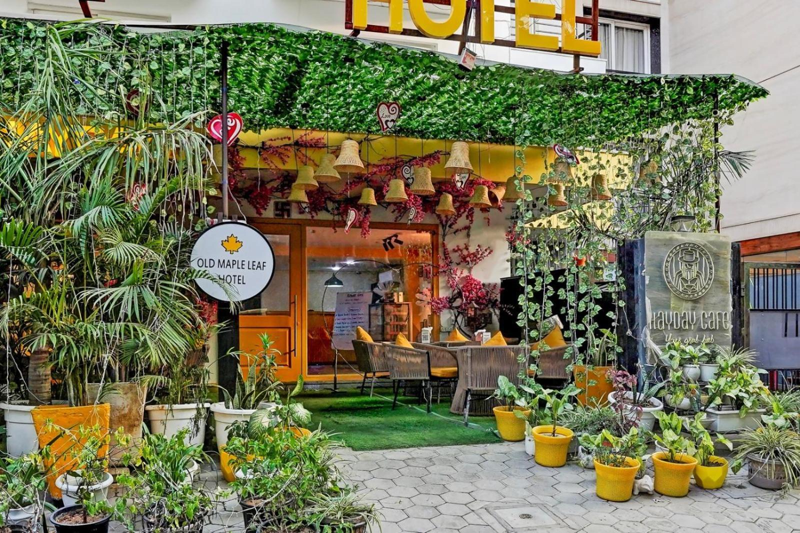 Tela Plaza Near Igi Airport Delhi Hotel 4*
